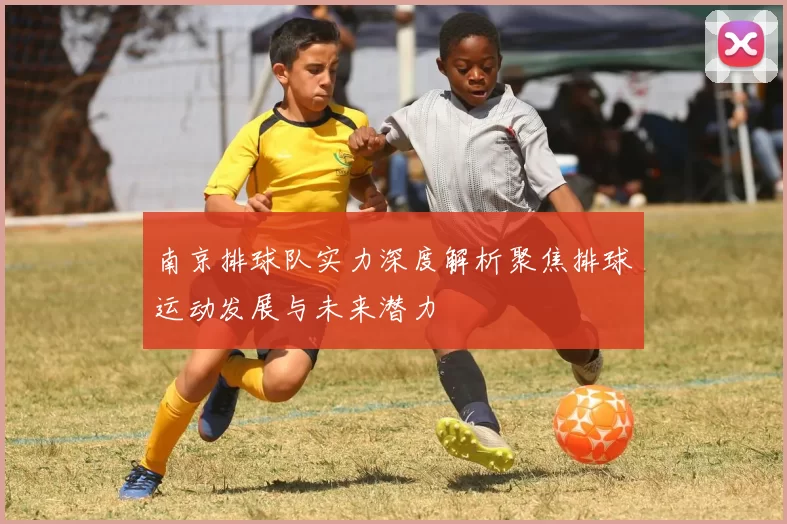南京排球队实力深度解析聚焦排球运动发展与未来潜力