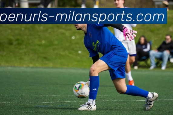 米兰体育入口发展历程